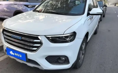 Haval Haval Dargo в цвете и кузовом – это идеальный выбор среди китайских автомобилей. Доступная цена и надежность гарантированы.