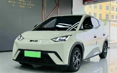 BYD BYD Han в цвете и кузовом – это идеальный выбор среди китайских автомобилей. Доступная цена и надежность гарантированы.