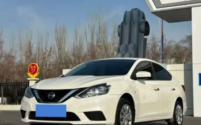 Nissan Nissan Patrol в цвете и кузовом – это идеальный выбор среди китайских автомобилей. Доступная цена и надежность гарантированы.