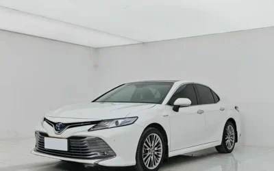 Toyota Toyota Highlander в цвете и кузовом – это идеальный выбор среди китайских автомобилей. Доступная цена и надежность гарантированы.