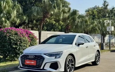 Audi Audi e-tron в цвете и кузовом – это идеальный выбор среди китайских автомобилей. Доступная цена и надежность гарантированы.