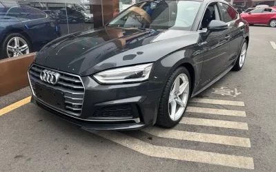 Audi Audi в цвете Audi и кузовом Audi – это идеальный выбор среди китайских автомобилей. Доступная цена и надежность гарантированы.
