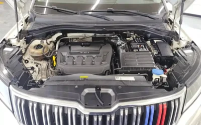 Skoda Skoda Fabia в цвете и кузовом – это идеальный выбор среди китайских автомобилей. Доступная цена и надежность гарантированы.