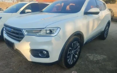Haval Haval Dargo PLUS в цвете и кузовом – это идеальный выбор среди китайских автомобилей. Доступная цена и надежность гарантированы.