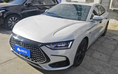 BYD BYD Han в цвете и кузовом – это идеальный выбор среди китайских автомобилей. Доступная цена и надежность гарантированы.
