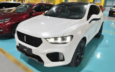 BYD BYD Yuan PLUS в цвете и кузовом – это идеальный выбор среди китайских автомобилей. Доступная цена и надежность гарантированы.
