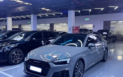 Audi Audi A6L в цвете и кузовом – это идеальный выбор среди китайских автомобилей. Доступная цена и надежность гарантированы.