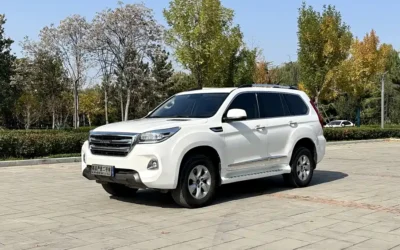 Haval Haval Dargo в цвете и кузовом – это идеальный выбор среди китайских автомобилей. Доступная цена и надежность гарантированы.