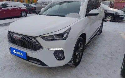 Haval Haval Dargo в цвете и кузовом – это идеальный выбор среди китайских автомобилей. Доступная цена и надежность гарантированы.