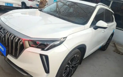 GAC Trumpchi Trumpchi Xiangwang M8 в цвете и кузовом – это идеальный выбор среди китайских автомобилей. Доступная цена и надежность гарантированы.