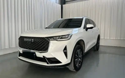 Haval Haval Dargo в цвете и кузовом – это идеальный выбор среди китайских автомобилей. Доступная цена и надежность гарантированы.