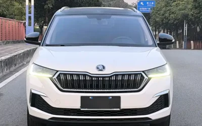 Skoda Skoda Yeti в цвете и кузовом – это идеальный выбор среди китайских автомобилей. Доступная цена и надежность гарантированы.
