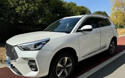 Haval Haval H6 Coupe в цвете и кузовом – это идеальный выбор среди китайских автомобилей. Доступная цена и надежность гарантированы.