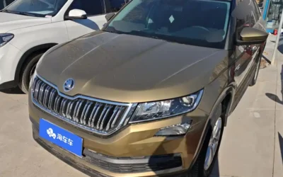 Skoda Skoda Yeti в цвете и кузовом – это идеальный выбор среди китайских автомобилей. Доступная цена и надежность гарантированы.