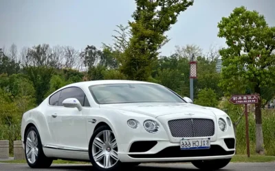 Bentley Bentley Continental в цвете и кузовом – это идеальный выбор среди китайских автомобилей. Доступная цена и надежность гарантированы.