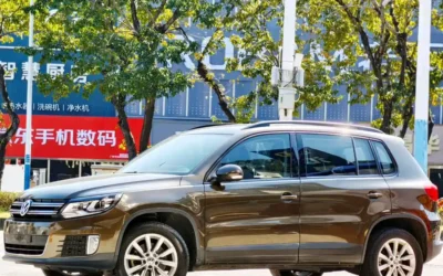 Tank Tank 700 EV в цвете и кузовом – это идеальный выбор среди китайских автомобилей. Доступная цена и надежность гарантированы.
