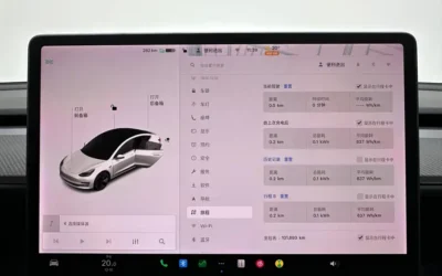 Tesla Tesla Model 3 в цвете и кузовом – это идеальный выбор среди китайских автомобилей. Доступная цена и надежность гарантированы.