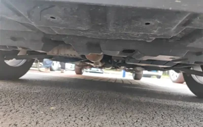 Toyota Toyota Corolla в цвете и кузовом – это идеальный выбор среди китайских автомобилей. Доступная цена и надежность гарантированы.