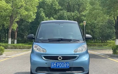 Smart Smart в цвете Smart и кузовом Smart – это идеальный выбор среди китайских автомобилей. Доступная цена и надежность гарантированы.