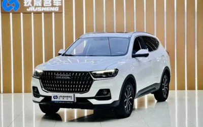 Haval Haval Dargo в цвете и кузовом – это идеальный выбор среди китайских автомобилей. Доступная цена и надежность гарантированы.