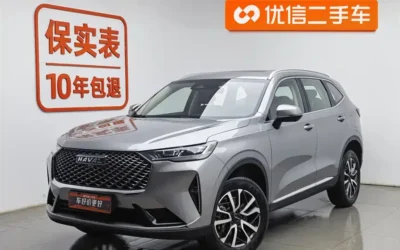 Haval Haval Dargo в цвете и кузовом – это идеальный выбор среди китайских автомобилей. Доступная цена и надежность гарантированы.