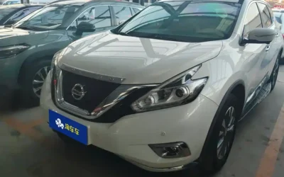 Nissan Nissan N7 в цвете и кузовом – это идеальный выбор среди китайских автомобилей. Доступная цена и надежность гарантированы.
