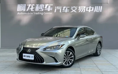 Lexus Lexus LM в цвете и кузовом – это идеальный выбор среди китайских автомобилей. Доступная цена и надежность гарантированы.
