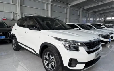 Land Rover Land Rover Discovery в цвете и кузовом – это идеальный выбор среди китайских автомобилей. Доступная цена и надежность гарантированы.