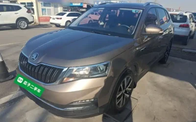 Skoda Skoda в цвете Skoda и кузовом Skoda – это идеальный выбор среди китайских автомобилей. Доступная цена и надежность гарантированы.