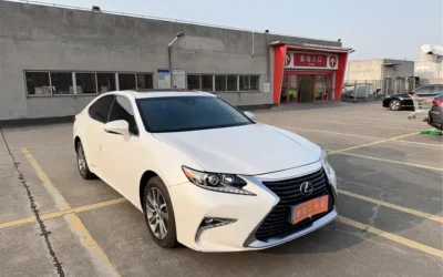 Lexus Lexus NX в цвете и кузовом – это идеальный выбор среди китайских автомобилей. Доступная цена и надежность гарантированы.