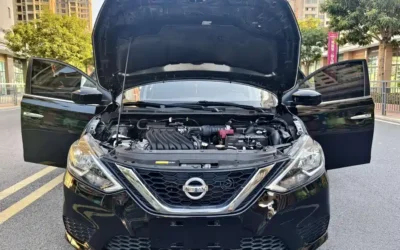 Nissan Nissan Terrano в цвете и кузовом – это идеальный выбор среди китайских автомобилей. Доступная цена и надежность гарантированы.