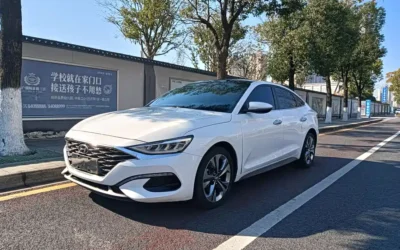 Hyundai Hyundai Celesta в цвете и кузовом – это идеальный выбор среди китайских автомобилей. Доступная цена и надежность гарантированы.