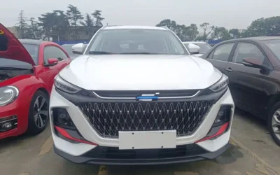 Changan Oshan Changan Oshan в цвете Changan Oshan и кузовом Changan Oshan – это идеальный выбор среди китайских автомобилей. Доступная цена и надежность гарантированы.
