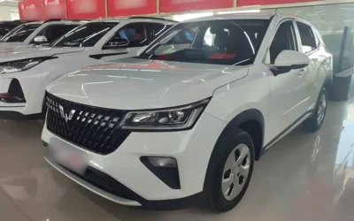 Land Rover Land Rover Discovery в цвете и кузовом – это идеальный выбор среди китайских автомобилей. Доступная цена и надежность гарантированы.