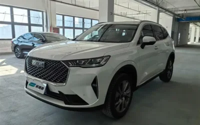 Haval Haval Raptor в цвете и кузовом – это идеальный выбор среди китайских автомобилей. Доступная цена и надежность гарантированы.