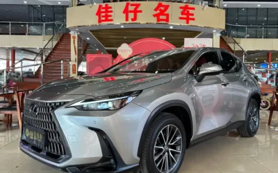 Lexus Lexus в цвете Lexus и кузовом Lexus – это идеальный выбор среди китайских автомобилей. Доступная цена и надежность гарантированы.