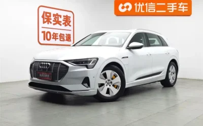 Audi Audi A8 в цвете и кузовом – это идеальный выбор среди китайских автомобилей. Доступная цена и надежность гарантированы.