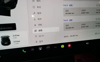 Tesla Tesla Model Y в цвете и кузовом – это идеальный выбор среди китайских автомобилей. Доступная цена и надежность гарантированы.
