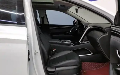 Hyundai Hyundai Celesta в цвете и кузовом – это идеальный выбор среди китайских автомобилей. Доступная цена и надежность гарантированы.