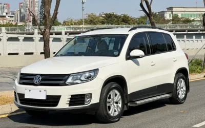 Land Rover Land Rover Discovery в цвете и кузовом – это идеальный выбор среди китайских автомобилей. Доступная цена и надежность гарантированы.