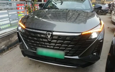 Changan Changan Oshan Benben E-Star в цвете и кузовом – это идеальный выбор среди китайских автомобилей. Доступная цена и надежность гарантированы.