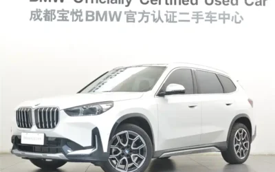 BMW BMW X1 в цвете и кузовом – это идеальный выбор среди китайских автомобилей. Доступная цена и надежность гарантированы.