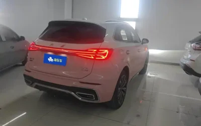 Hongqi Hongqi HS7 PHEV в цвете и кузовом – это идеальный выбор среди китайских автомобилей. Доступная цена и надежность гарантированы.