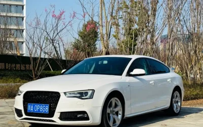 Audi Audi A6L в цвете и кузовом – это идеальный выбор среди китайских автомобилей. Доступная цена и надежность гарантированы.
