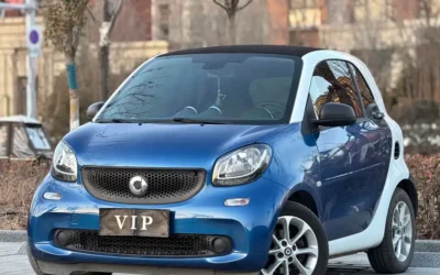 Smart Smart в цвете Smart и кузовом Smart – это идеальный выбор среди китайских автомобилей. Доступная цена и надежность гарантированы.