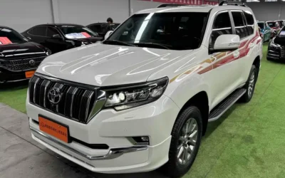 Toyota Toyota IZOA в цвете и кузовом – это идеальный выбор среди китайских автомобилей. Доступная цена и надежность гарантированы.