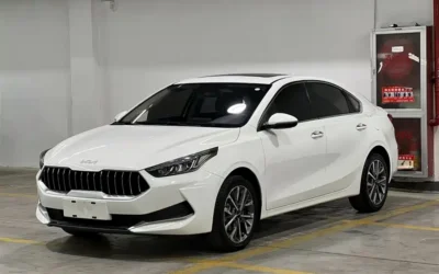 BYD BYD Yuan PLUS в цвете и кузовом – это идеальный выбор среди китайских автомобилей. Доступная цена и надежность гарантированы.